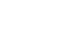 Cevik